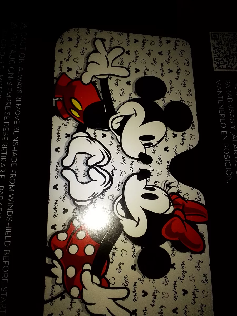 Disney Limited Edition SunShade