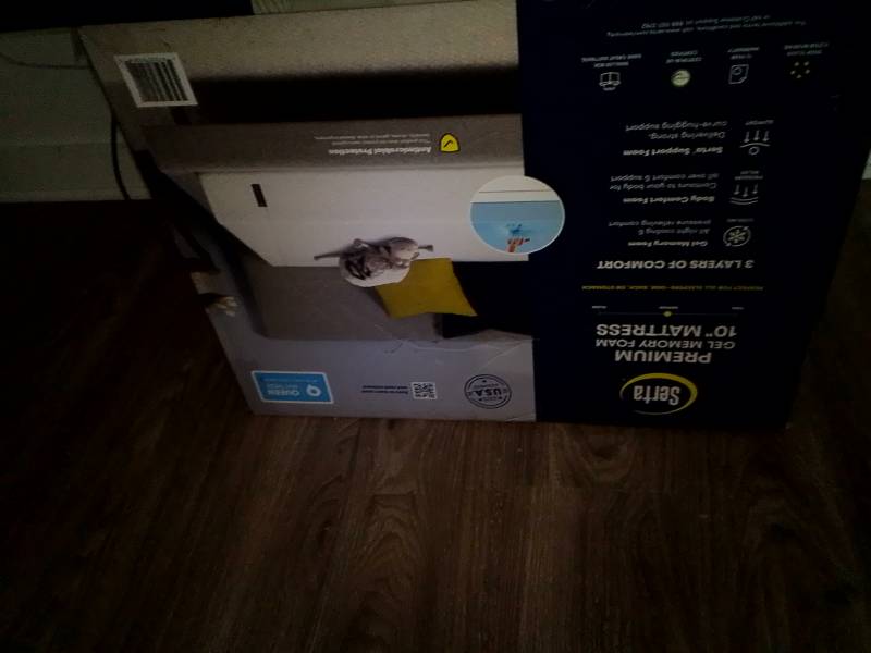 Serta Premium Gel Memory Foam Mattress