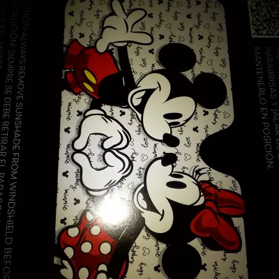 Disney Limited Edition SunShade